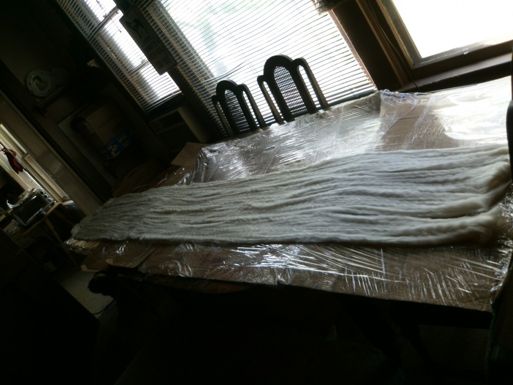 Bam Huey hand painting spinning fiber
