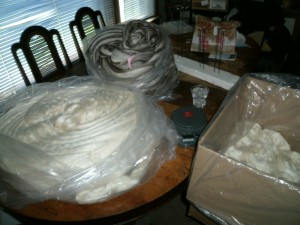 Bam Huey and Baa Baa Huey fiber prepping